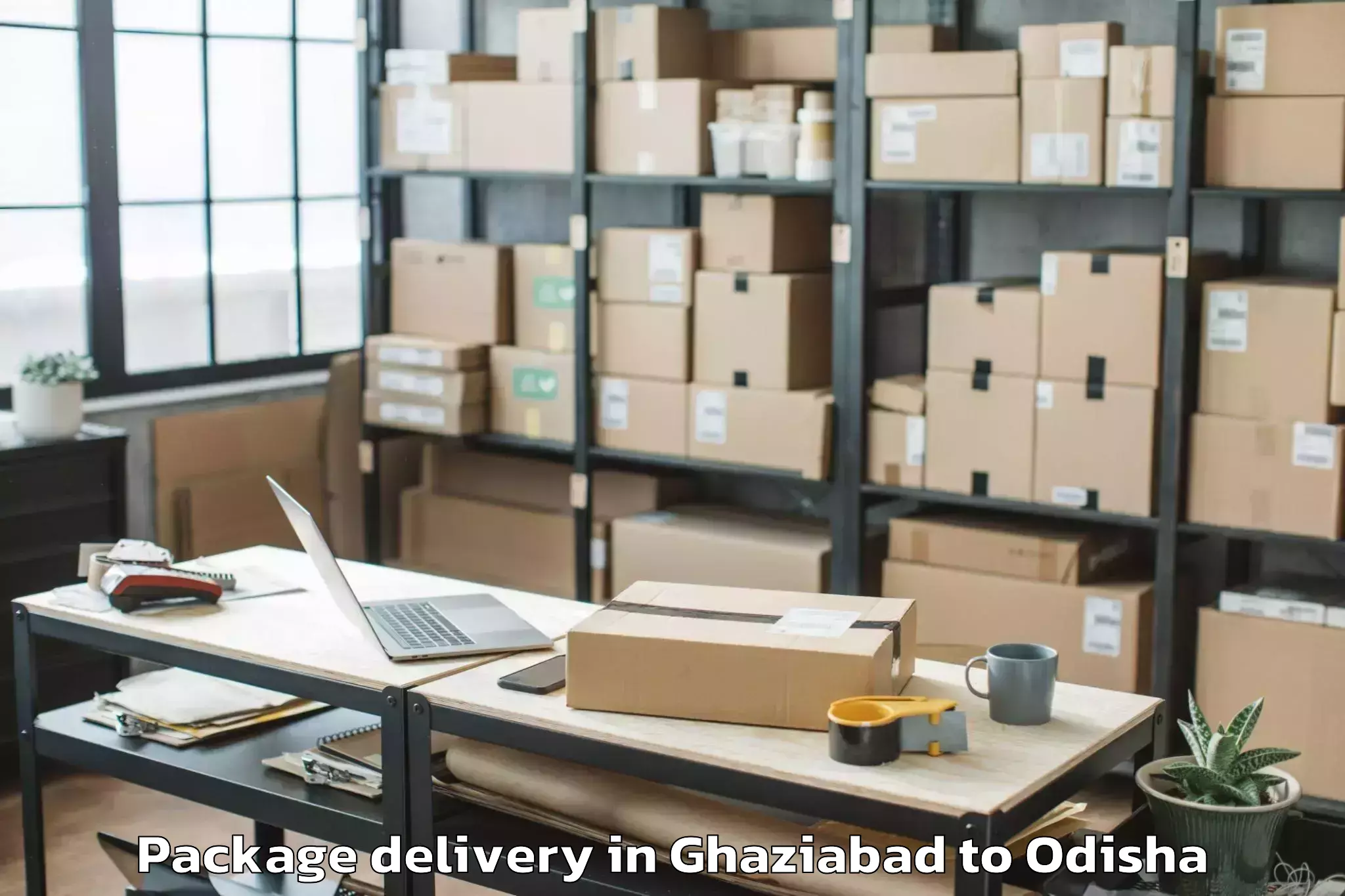 Get Ghaziabad to Burla Package Delivery